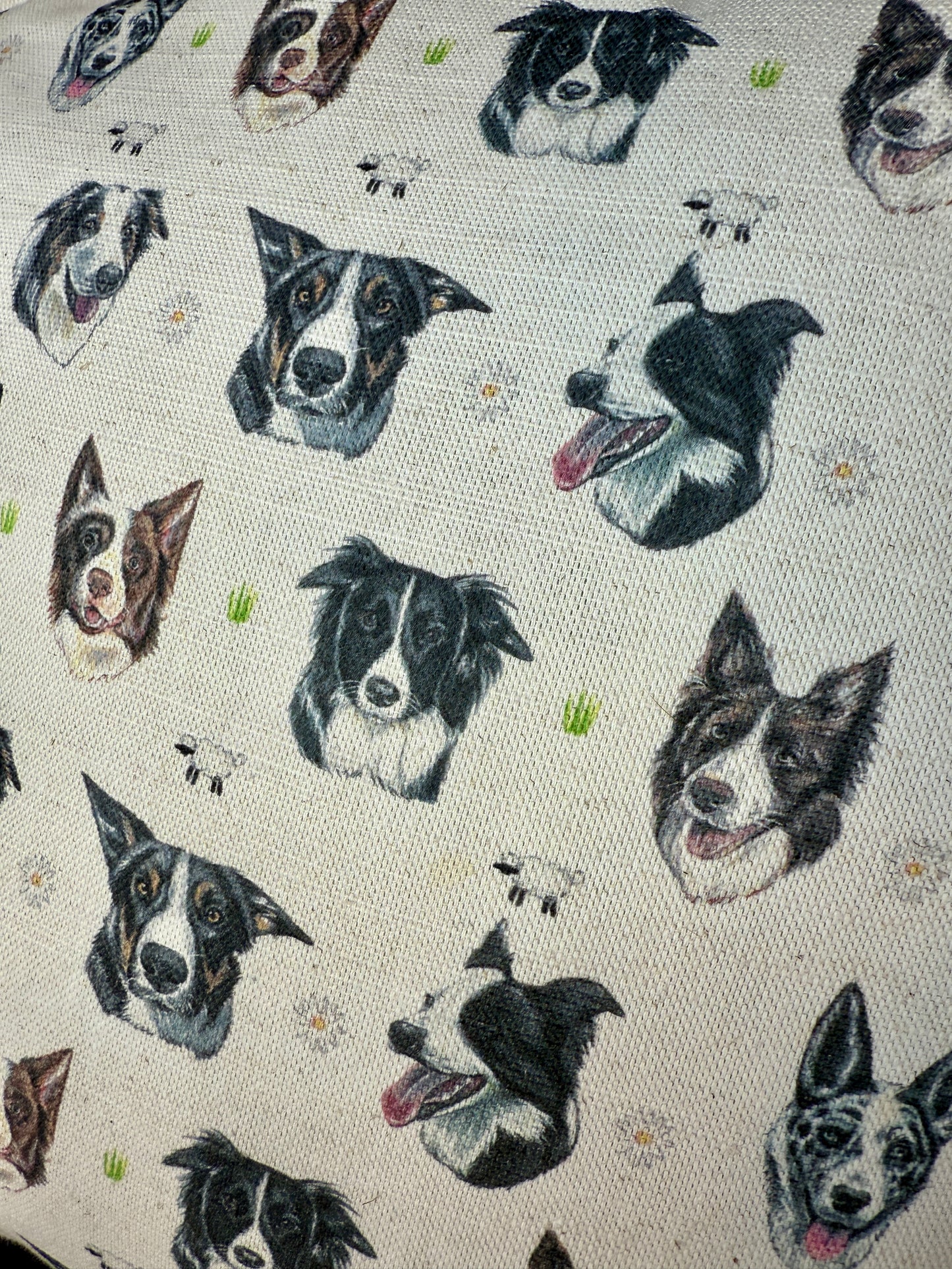 Collie Cushion