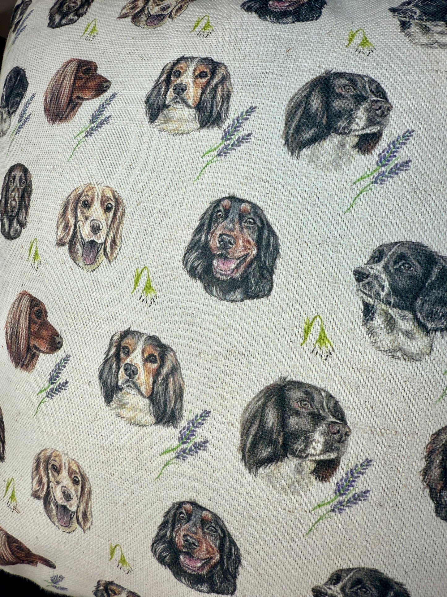 Spaniel Cushion