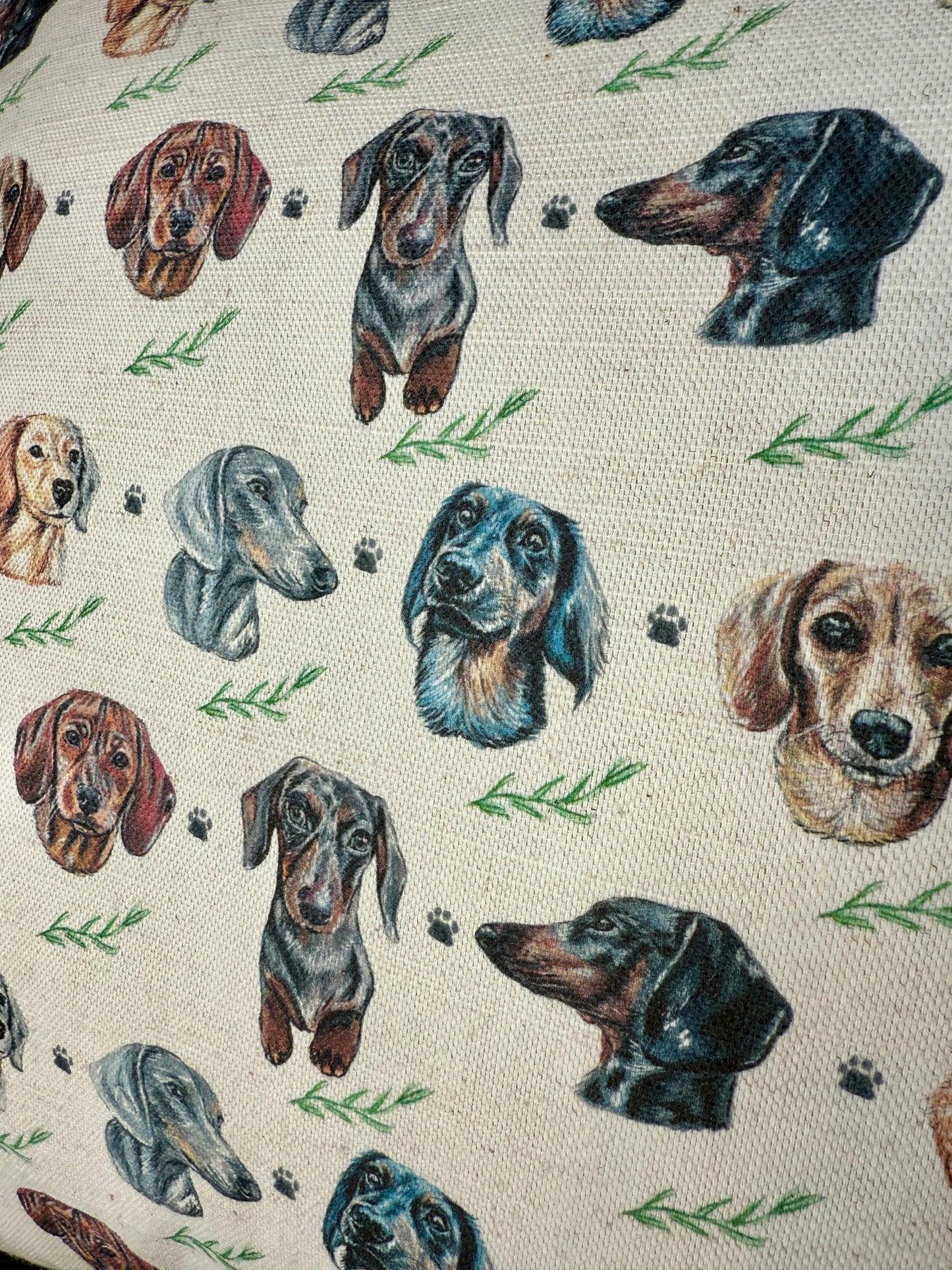 Dachshund Cushion