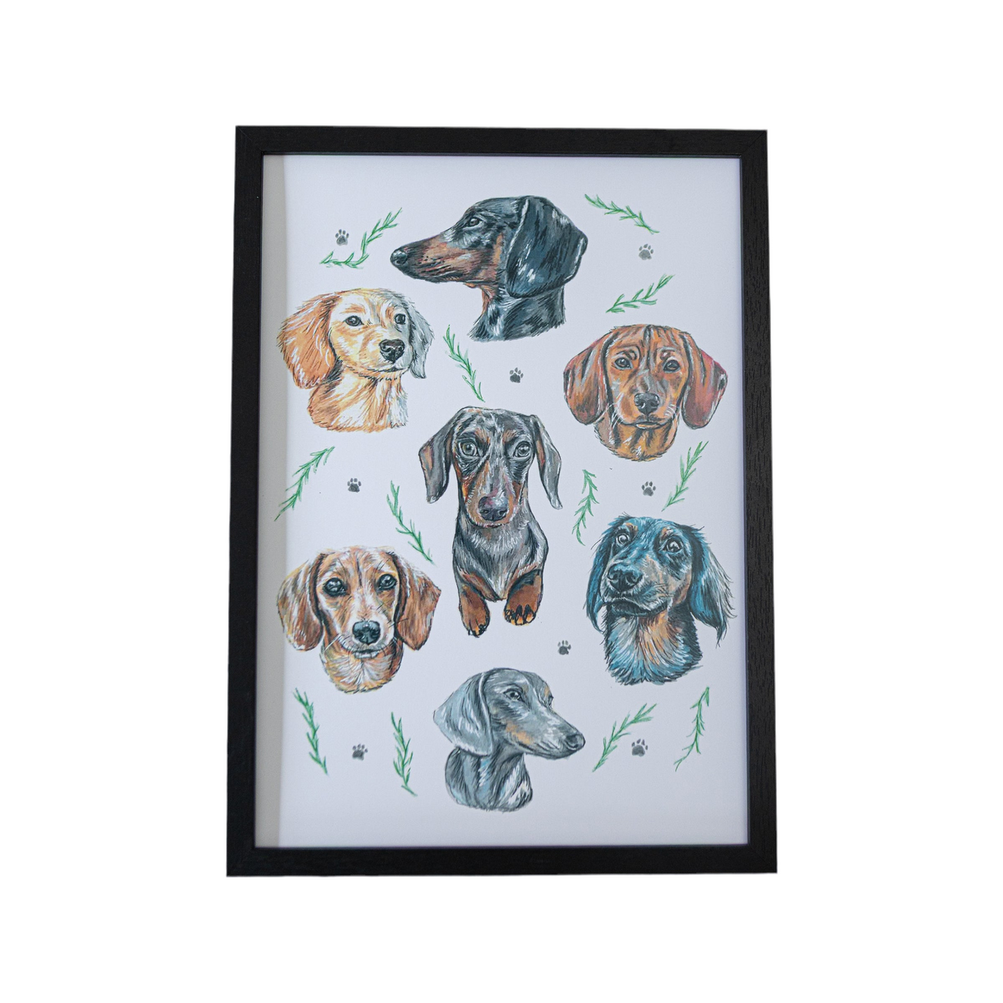 Dachshund Dizzign Print A3