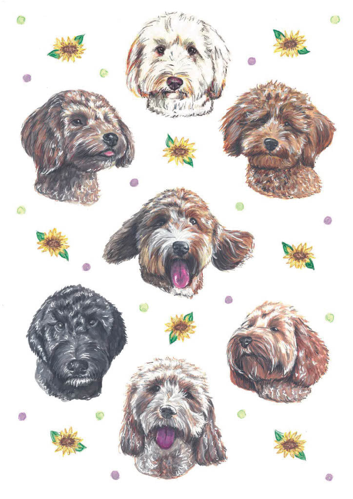 Cockapoo