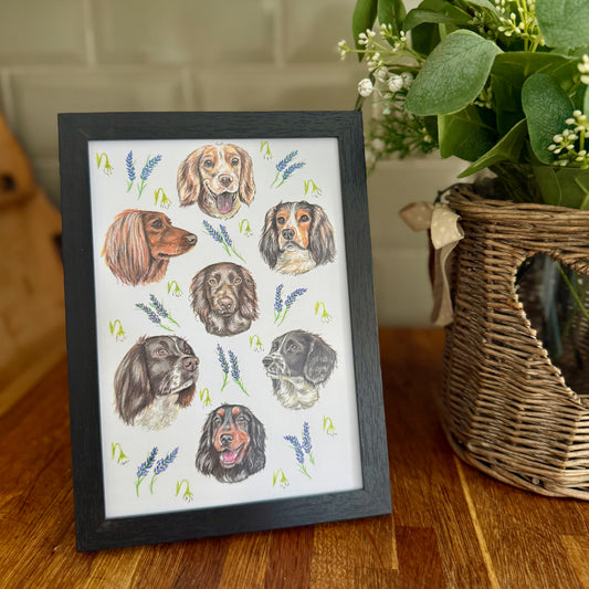Spaniel Dizzign Print A5