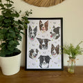Collie Dizzign Print A3
