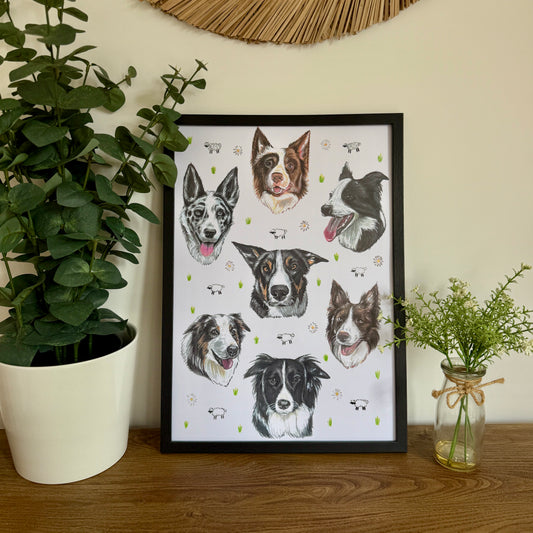 Collie Dizzign Print A3