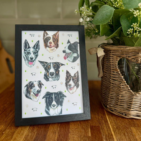 Collie Dizzign Print A5
