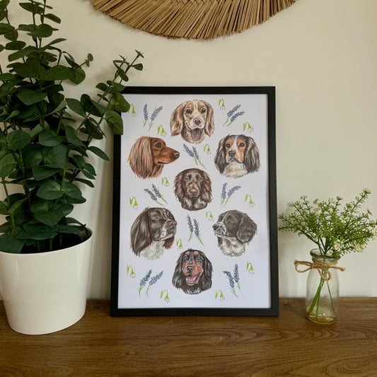 Spaniel Dizzign Print A3