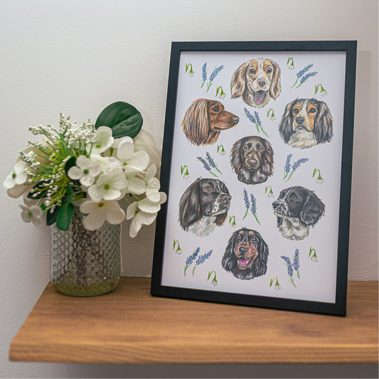 Spaniel Dizzign Print A4
