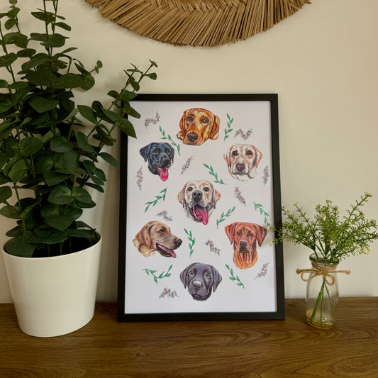 Labrador Dizzign Print A3