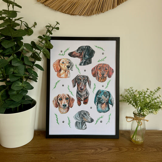 Dachshund Dizzign Print A3