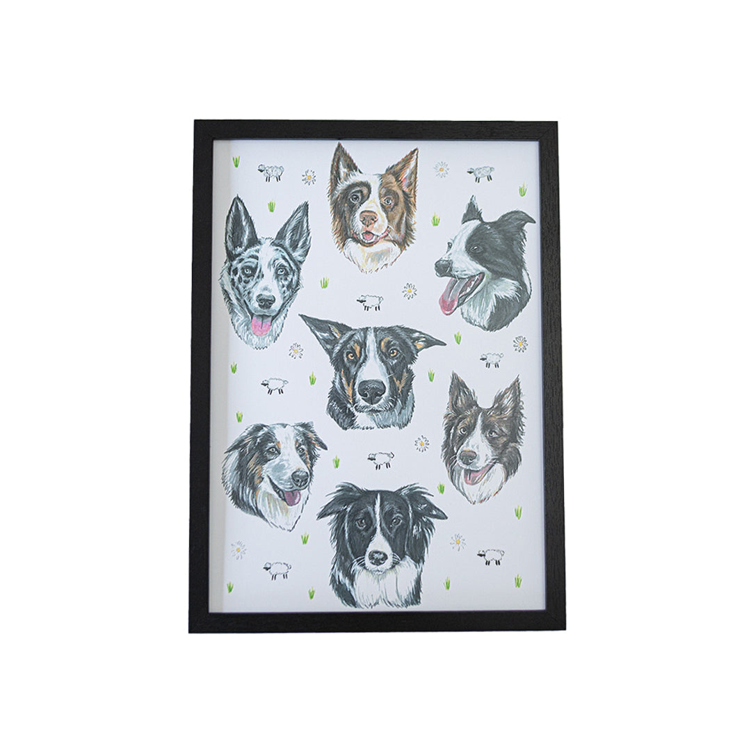 Collie Dizzign Print A3
